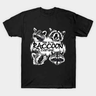 This is My Raccoon Costume Funny Raccoon Street Cats Trash T-Shirt